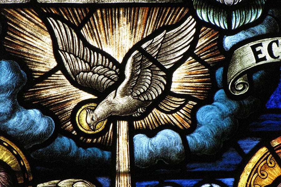 stained glass of dove