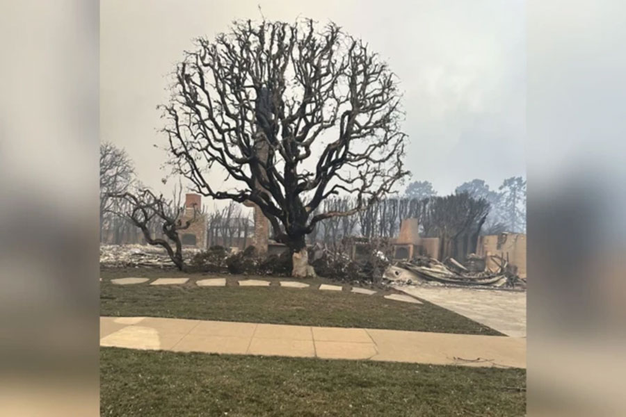 burned down house