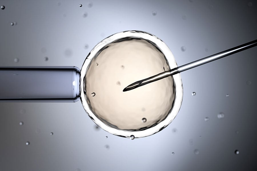 microscope image of egg undergoing IVF