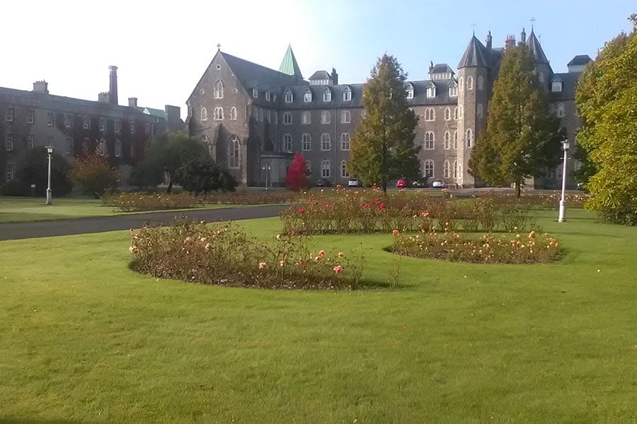 Maynooth university