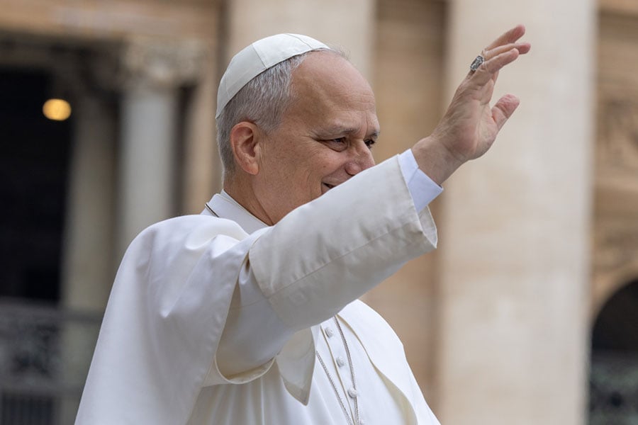 Pope Leo waves