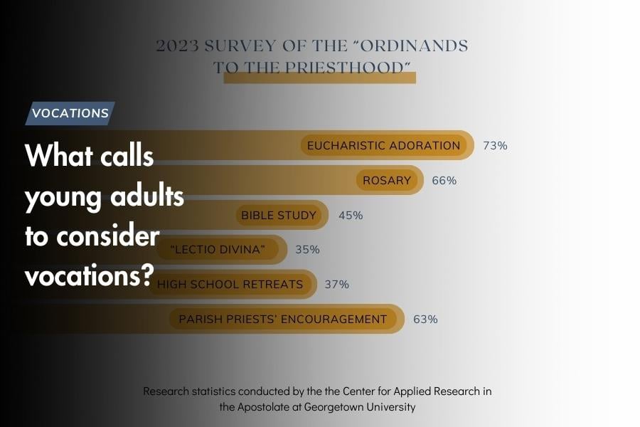 graphic detailing the research on what calls young adults to consider vocations