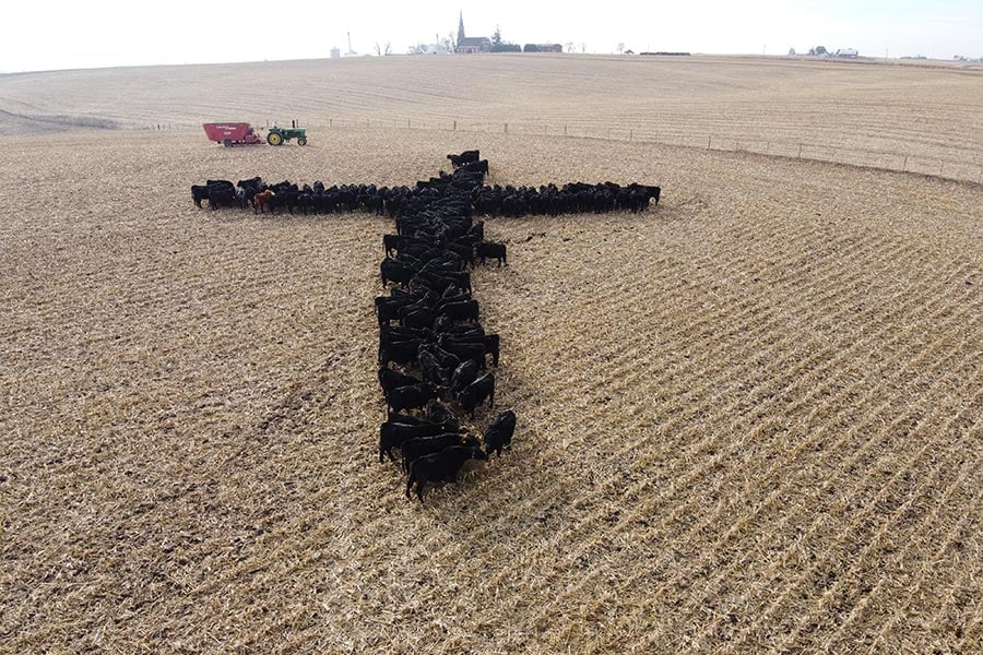 Father Michael G. Schueller's viral photo of a cattle cross set up by the Grotto family is seen Dec. 23, 2019, on their farm in Bankston, Iowa. (CNS photo/courtesy Father Michael Schueller)