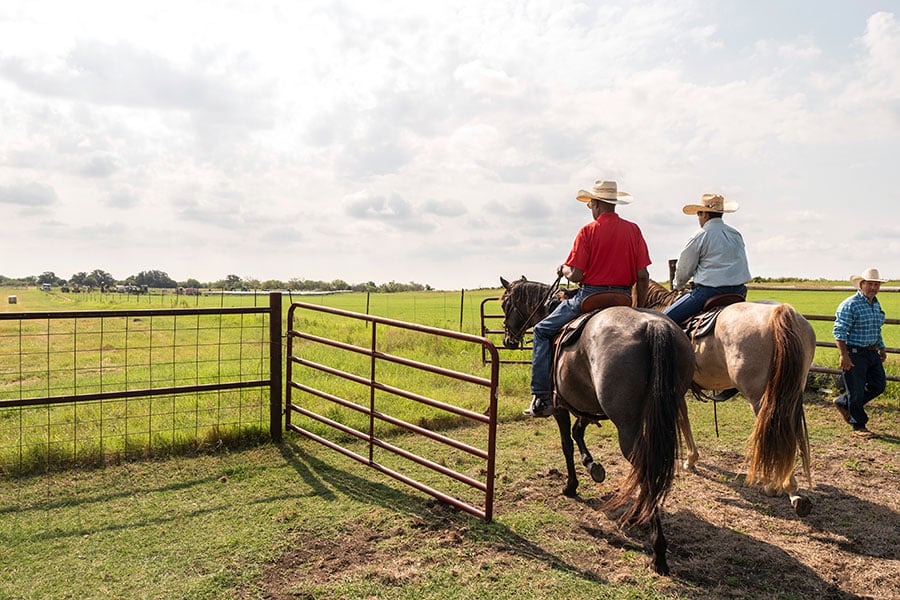 two men on horseback