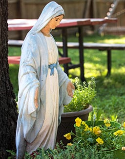 In this 2018 file photo, Mary stands among the flowers and plants of the St. John Paul II University Parish in Denton. (NTC/Katie Hoffman)