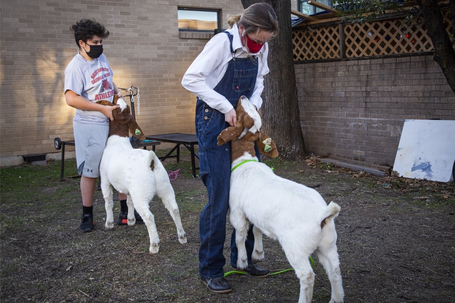 Hudson Rios and Kate Farry with goats