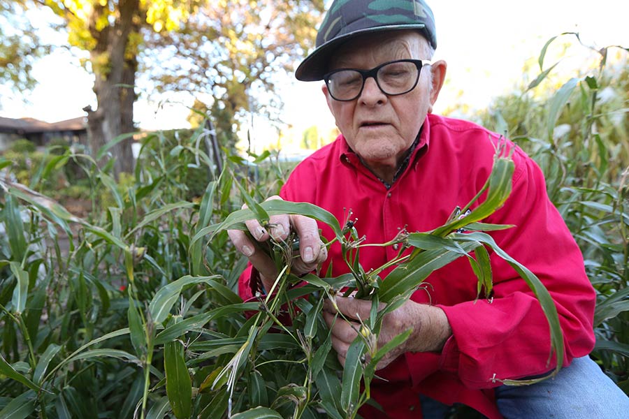 August Bueltel inspects plants in his backyard.
