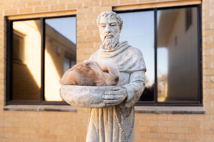 statue with rabbit