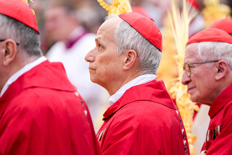 Three Cardinals stand together before palms