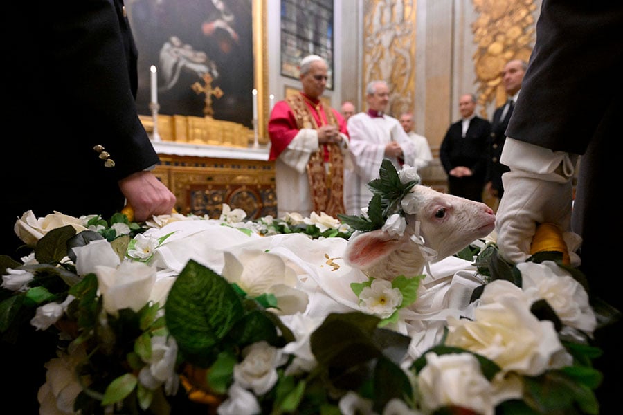 Pope Leo XIV blesses two lambs in the Urban VIII Chapel at the Vatican Jan. 21, 2026, the feast of St. Agnes. The lambs are bound and placed in baskets to prevent them from running away. The wool from the lambs is used for the pallium worn by archbishops. (CNS photo/Vatican Media)