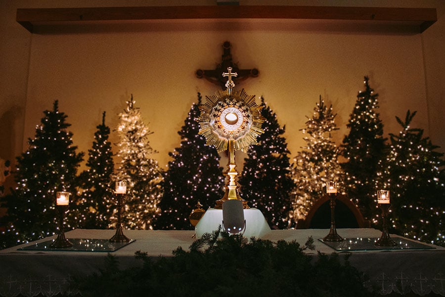 a Monstrance is exposed ahead of a range of lit Christmas Trees